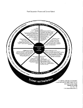 Duluth Using Children Post Separation Power and Control Wheel
