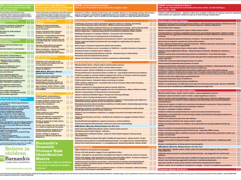 The Domestic Violence Risk Identification Matrix (DVRIM)